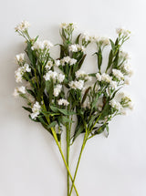 Faux Cherry Blossom Stem - HJGRN00116 - BUN