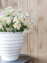 Thumbnail for picture #2