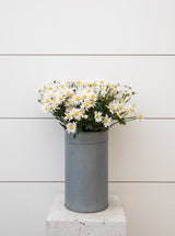 Thumbnail for picture #5