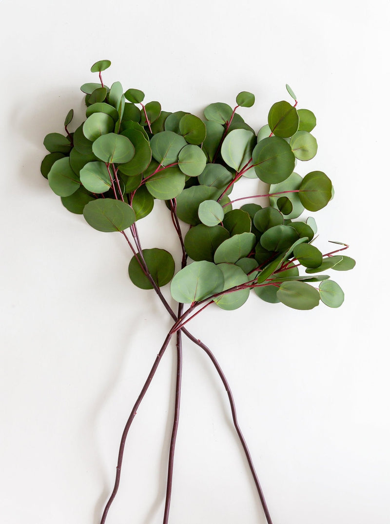 Faux Eucalyptus Leaf Stem - HJGRN0064 - OS - 3