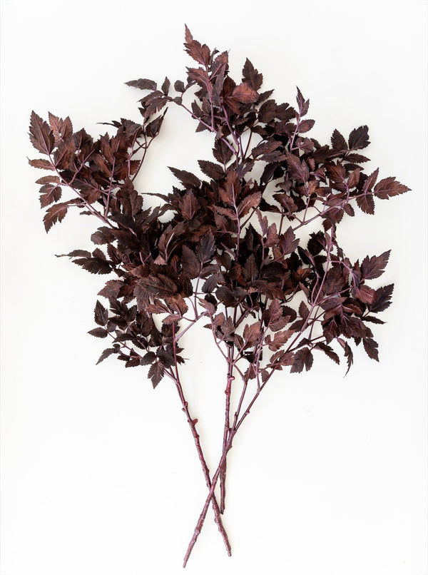 Faux Plum Ramosa Stem - HJGRN00103 - 3