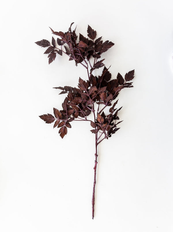 Faux Plum Ramosa Stem - HJGRN00103 - 1