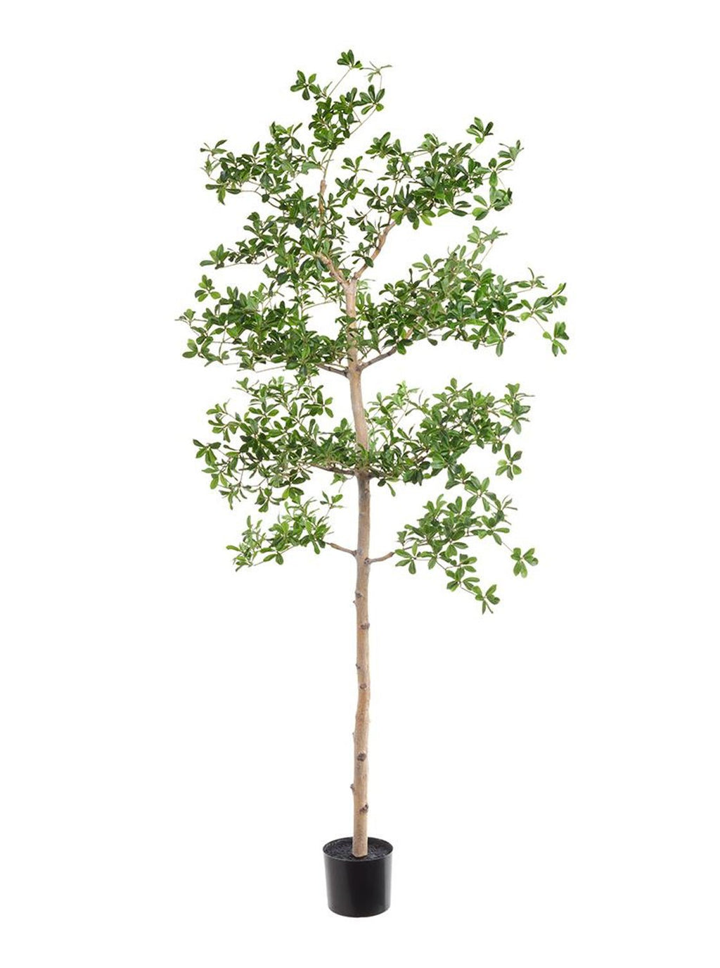 Faux Shady Lady Tree – House of Jade Home