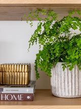 Fluted Pots | Set of 2 - HJDCR0353 - SET