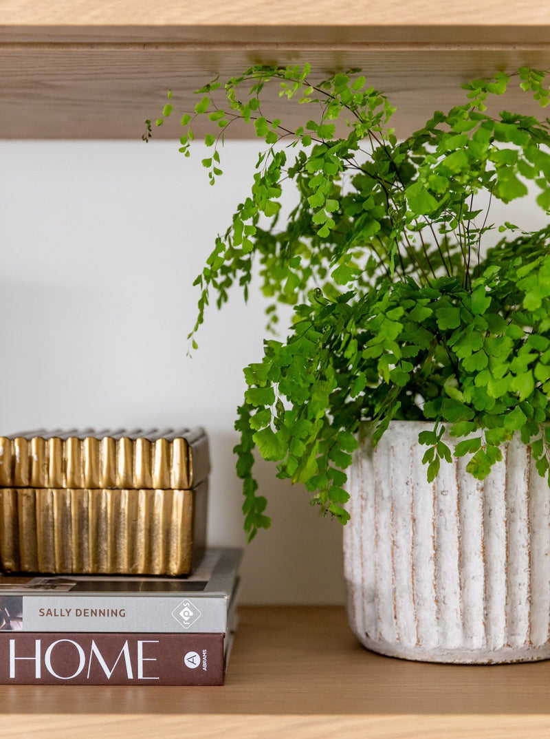 Fluted Pots | Set of 2 - HJDCR0353 - SET