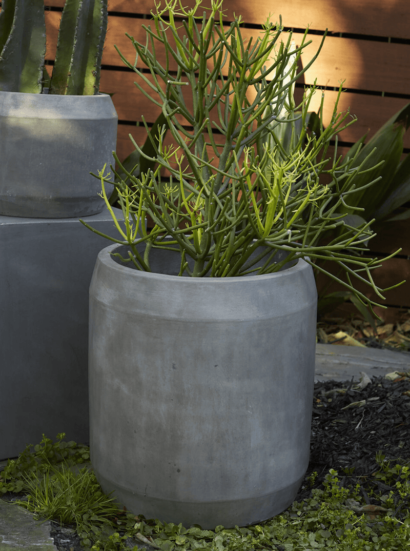 Gino Planter - HJDCR0313 - M