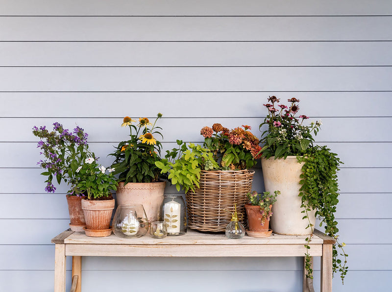 basket pots for plants Hudson Rattan Basket