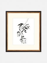 Inked Botanicals II - HJART0228 - OAK - 13X15
