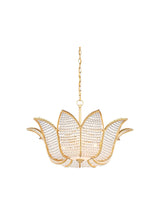 Delia Chandelier