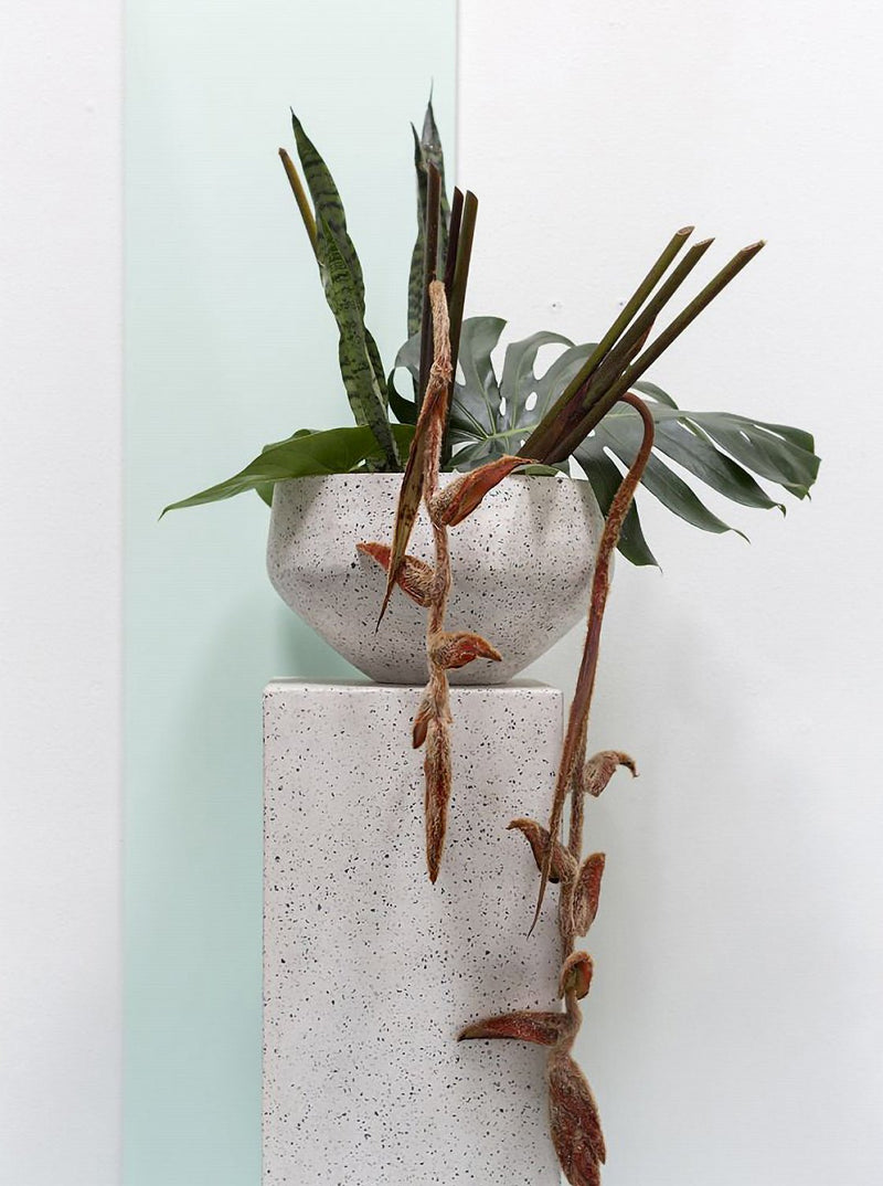 Leda Pot - HJDCR0306 - S