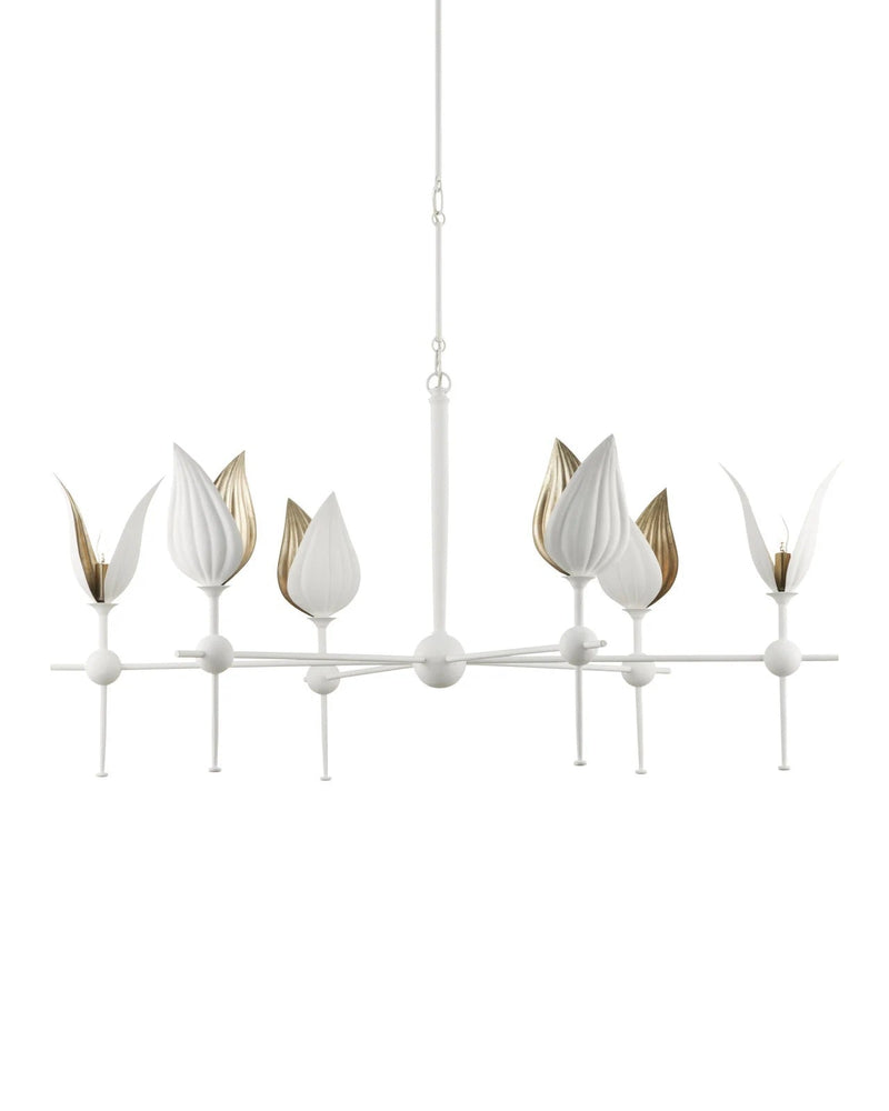 Lottie Chandelier - HJLHT0421 - OS
