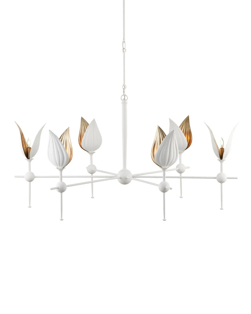 Lottie Chandelier - HJLHT0421 - OS