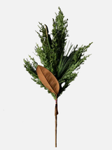 Thumbnail for picture #1