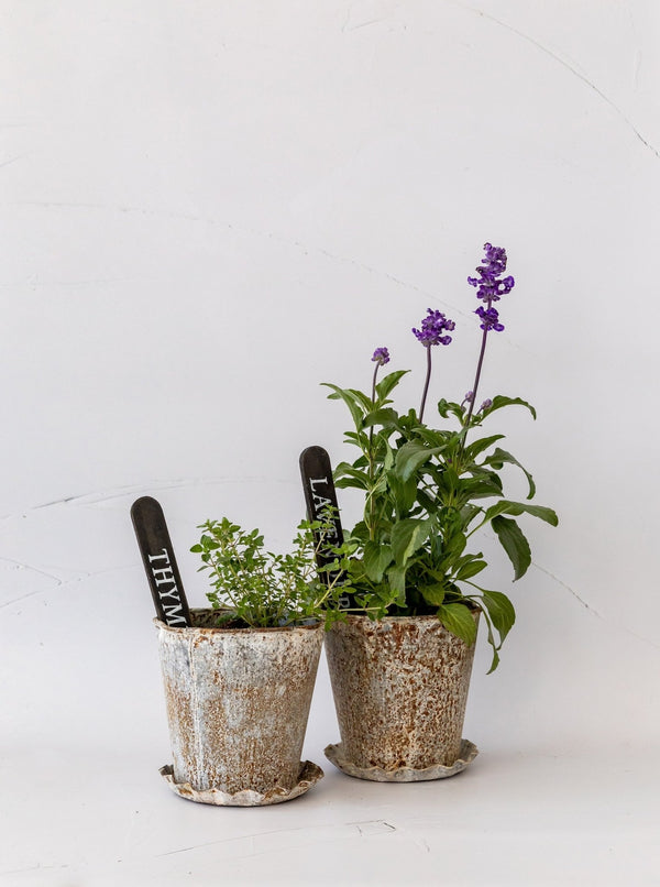 Metal Planter & Saucer - HJDCR0369 - OS