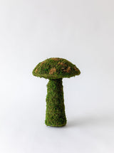 Moss Mushrooms - HJDCR0358 - L