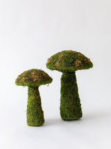 Moss Mushrooms - HJDCR0358 - SET