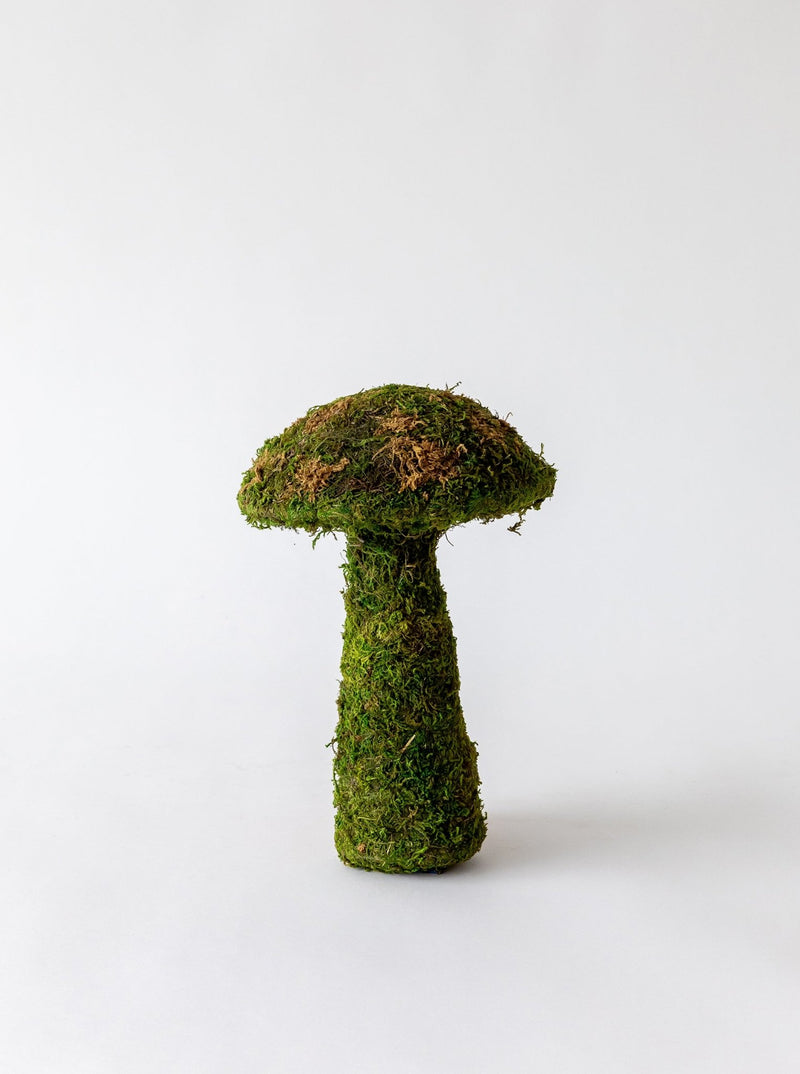 Moss Mushrooms - HJDCR0358 - S