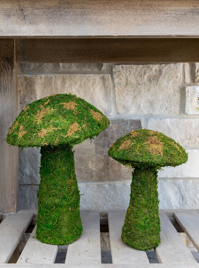 Moss Mushrooms - HJDCR0358 - SET