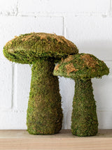 Moss Mushrooms - HJDCR0358 - SET