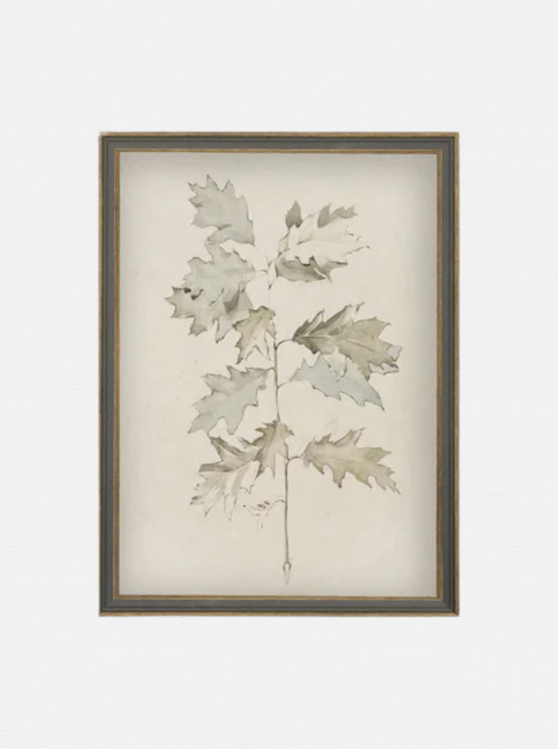 Oak Leaves