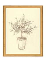 Olive Tree Study - HJART0041 - GLD - 11x14