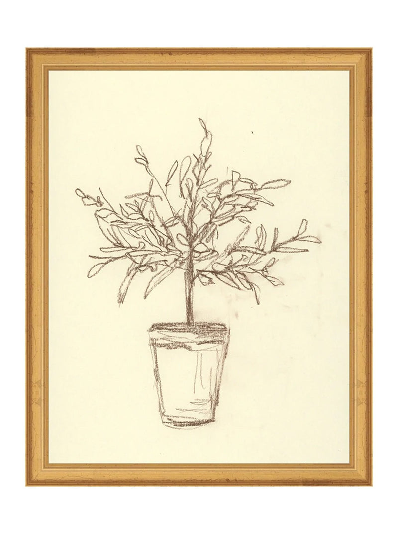 Olive Tree Study - HJART0041 - GLD - 11x14