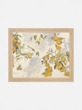 Orangerie - HJART0290 - OAK - 8X10