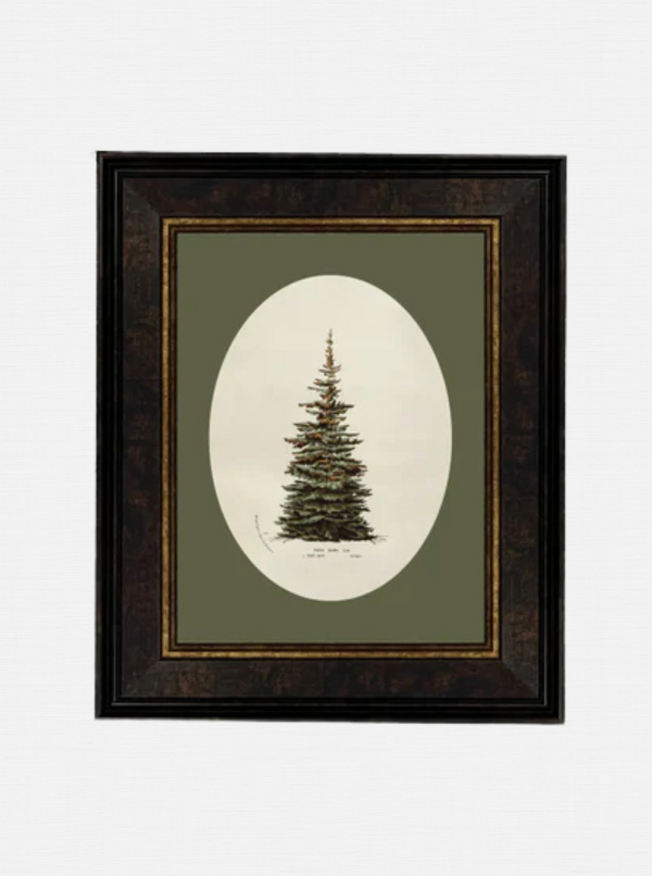 Oval Matte Tree