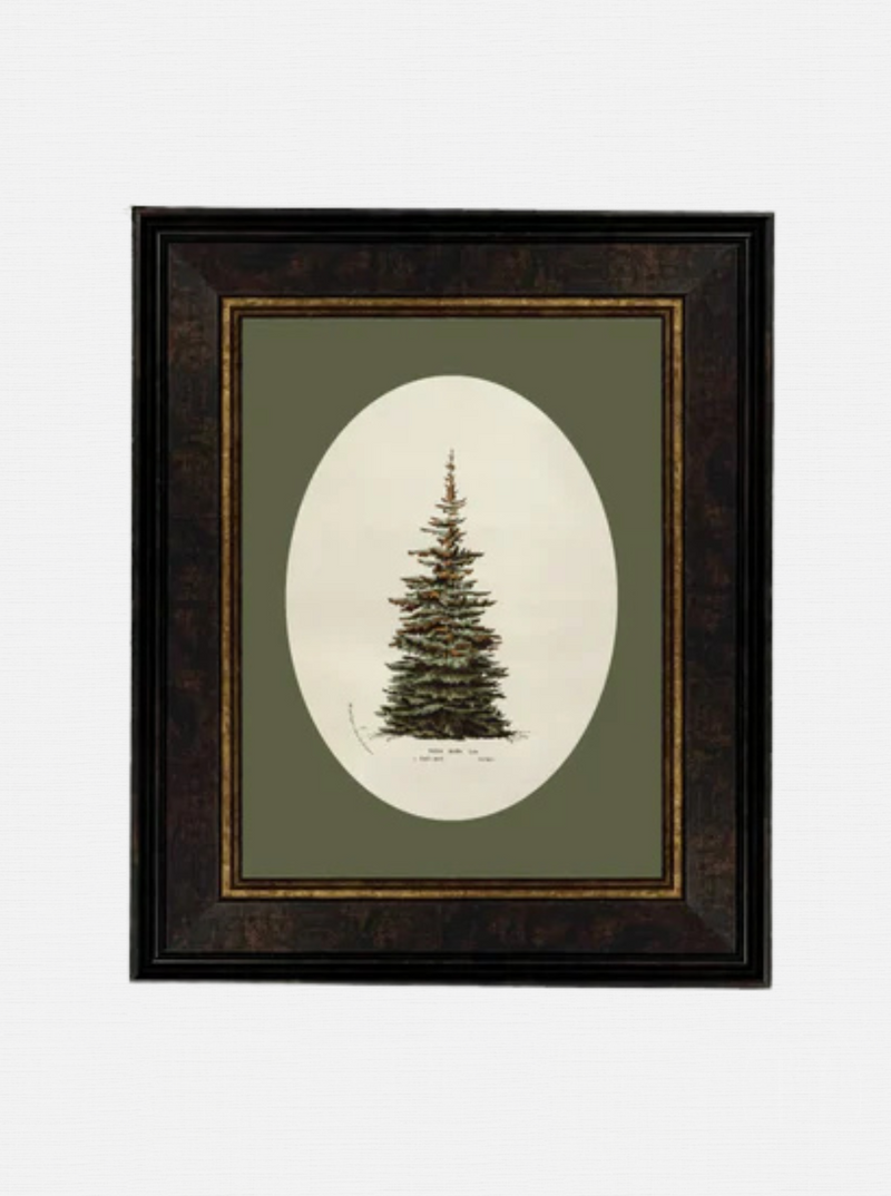 Oval Matte Tree