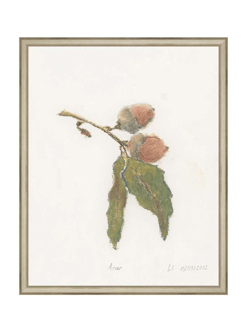 Pastel Acorn - HJART0316 - SLV - 16x20