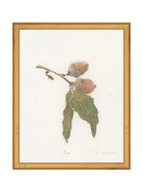 Pastel Acorn - HJART0316 - GLD - 11x14