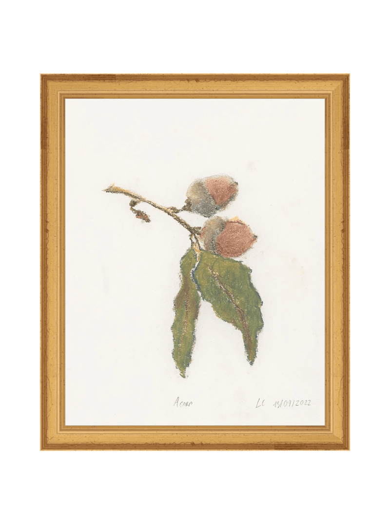 Pastel Acorn - HJART0316 - GLD - 8x10