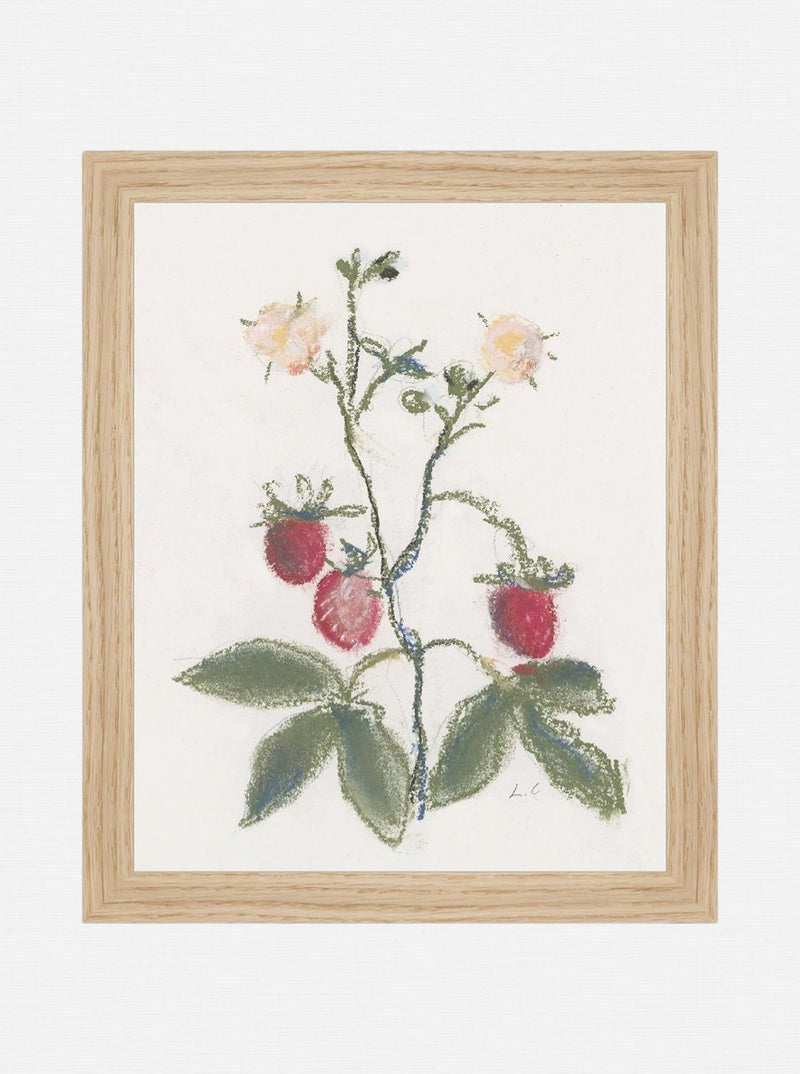 Pastel Strawberries - HJART0281 - OAK - 8X10