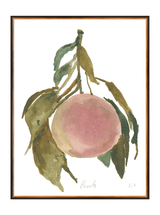 Peach - HJART0314 - BKG - 30x40