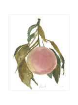 Peach - HJART0314 - UF - 8x10