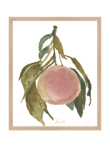 Peach - HJART0314 - OAK - 16x20