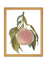 Peach - HJART0314 - GLD - 11x14