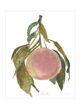 Peach - HJART0314 - UF - 30x40