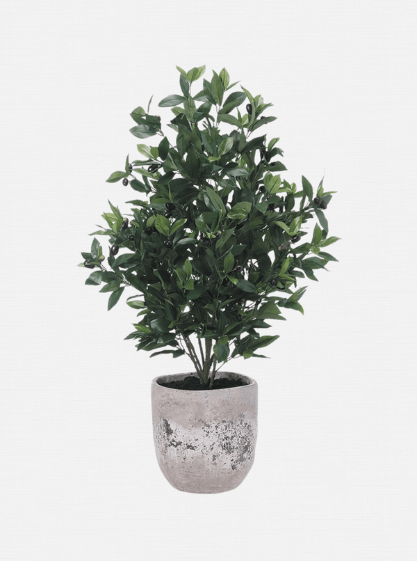 Potted 45" Faux Olive Tree - HJGRN0057 - OS