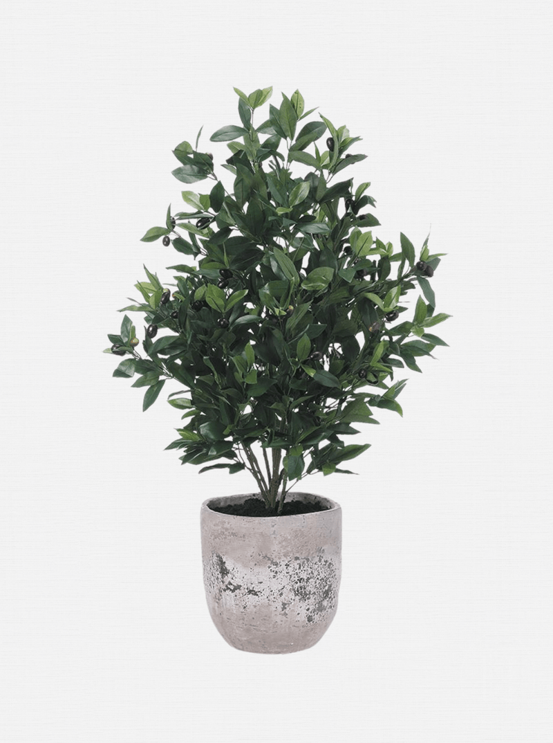 Potted 45" Faux Olive Tree - HJGRN0057 - OS