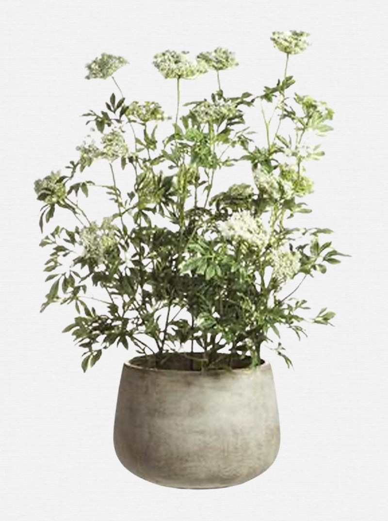Potted Faux Queen Anne's Lace - HJGRN0055 - OS