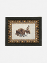 Rabbit - HJART0346 - OS