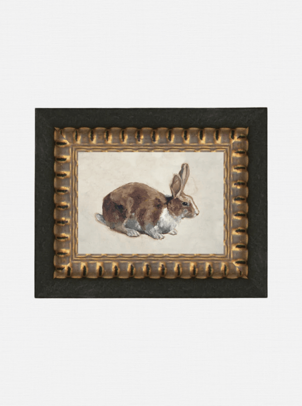 Rabbit - HJART0346 - OS
