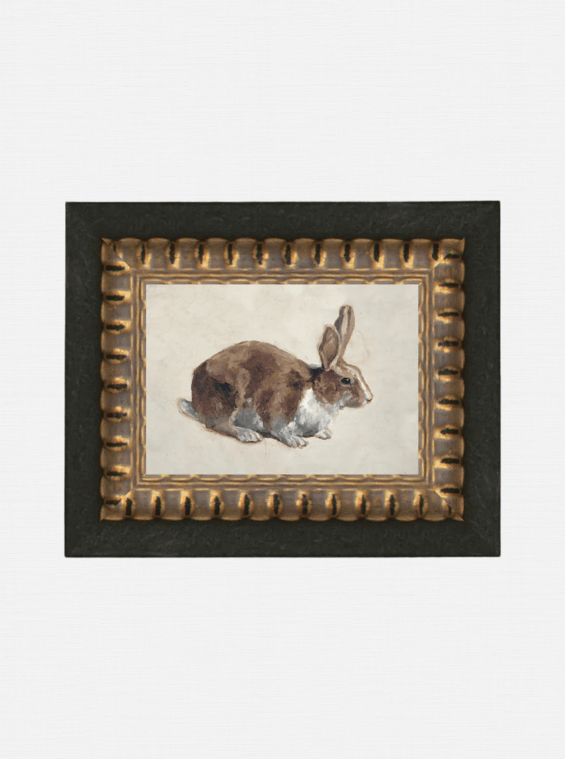 Rabbit - HJART0346 - OS
