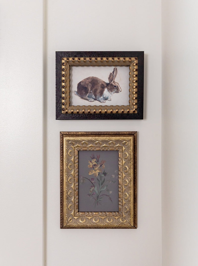 Rabbit - HJART0346 - OS