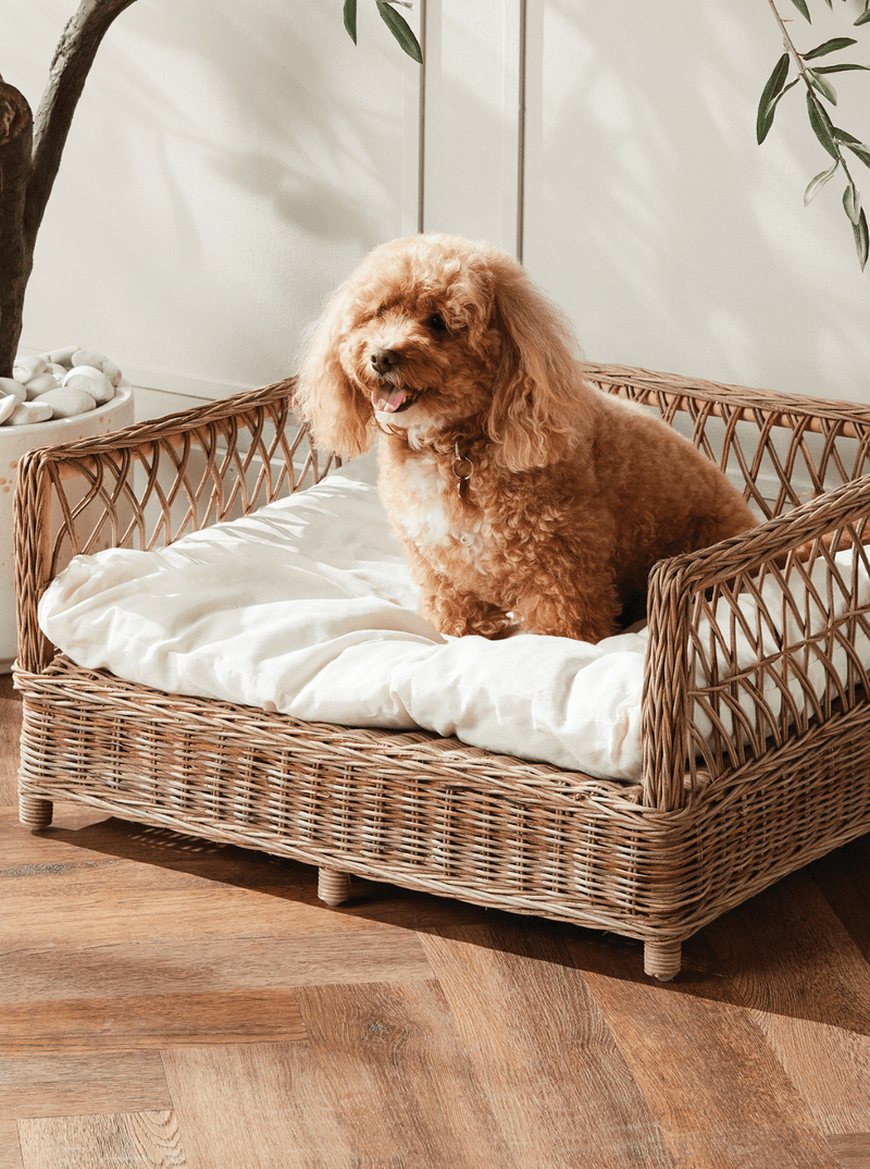 Rattan Pet Bed - HJDRP0026 - S