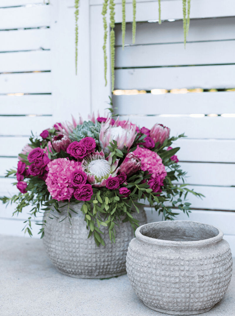 Rosen Pot - HJDCR0425 - S