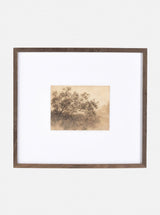 Savanna II - HJART0158 - OS