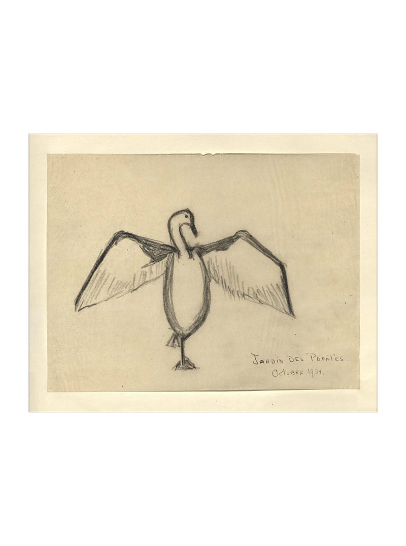 Sea Raven Sketch - HJART0191 - UF - 8x10