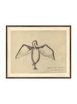 Sea Raven Sketch - HJART0191 - BGD - 24x30